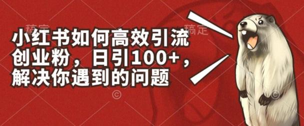 小红书如何高效引流创业粉，日引100+，解决你遇到的问题【揭秘】-天韵资源网