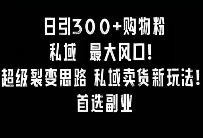 日引300+购物粉，超级裂变思路，私域卖货新玩法，小红书首选副业【揭秘】-天韵资源网