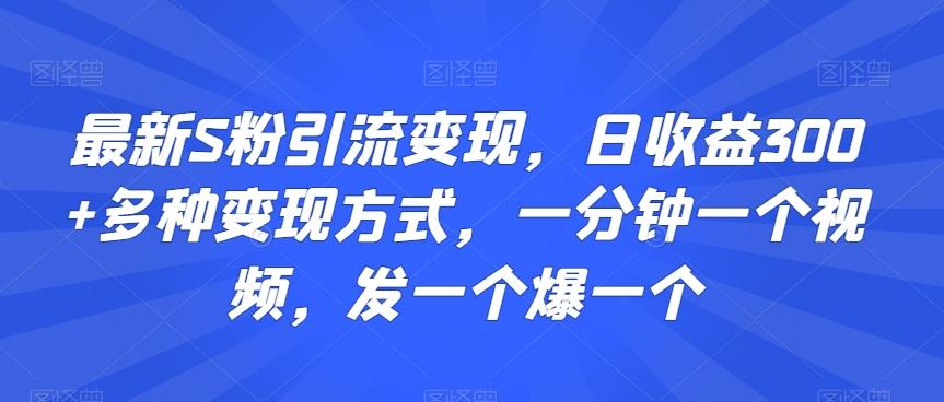 最新S粉引流变现，日收益300+多种变现方式，一分钟一个视频，发一个爆一个【揭秘】-天韵资源网