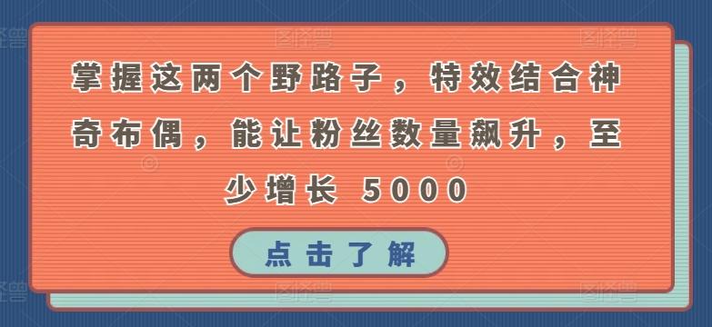 掌握这两个野路子，特效结合神奇布偶，能让粉丝数量飙升，至少增长 5000【揭秘】-天韵资源网