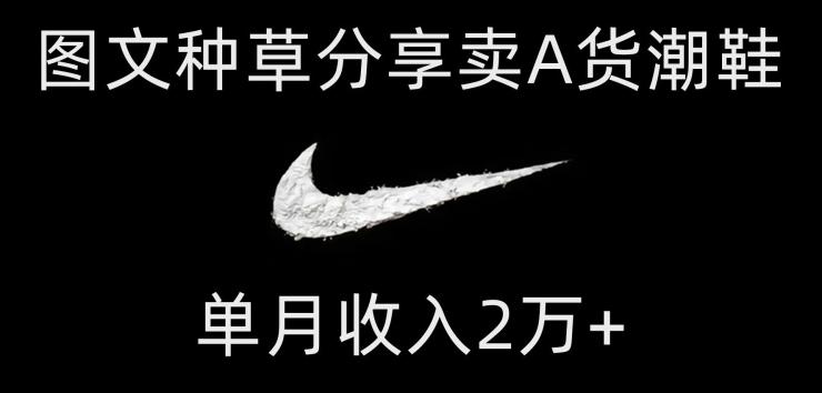 靠图文种草分享卖A货潮鞋，每天一小时，单月收入2万+【揭秘】-天韵资源网