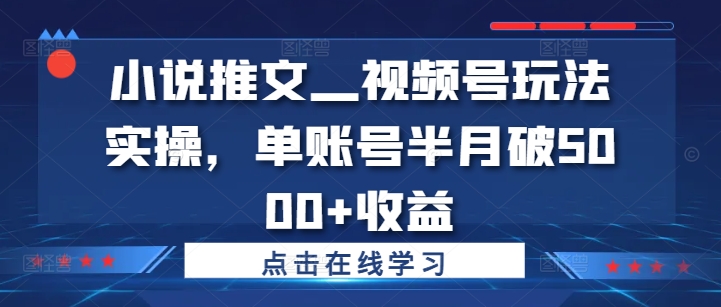 小说推文—视频号玩法实操，单账号半月破5000+收益-天韵资源网