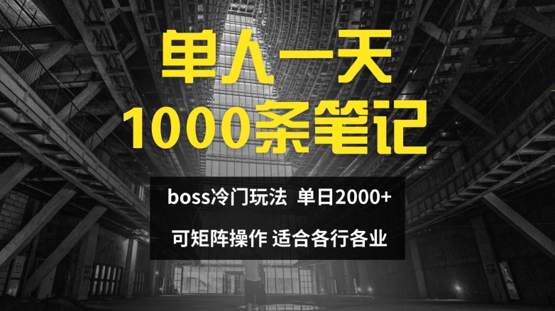 单人一天1000条笔记，日入2000+，BOSS直聘的正确玩法【揭秘】-天韵资源网