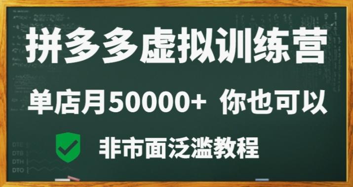 拼多多虚拟电商训练营月入30000+你也行，暴利稳定长久，副业首选-天韵资源网