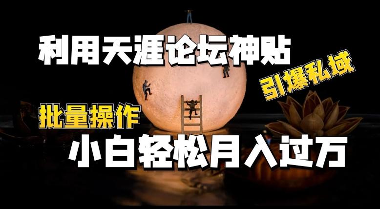 利用天涯论坛神贴，引爆私域，批量操作，小白轻松月入过w【揭秘】-天韵资源网