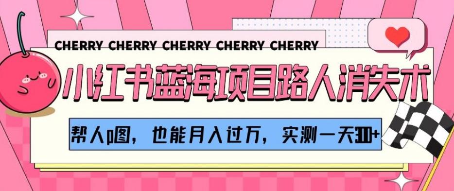 小红书蓝海项目路人消失术，帮人p图，也能月入过万，实测一天300+【揭秘】-天韵资源网