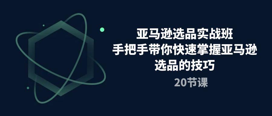亚马逊选品实战班，手把手带你快速掌握亚马逊选品的技巧(20节课-天韵资源网