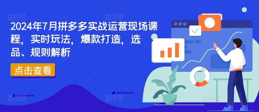 2024年7月拼多多实战运营现场课程，实时玩法，爆款打造，选品、规则解析-天韵资源网