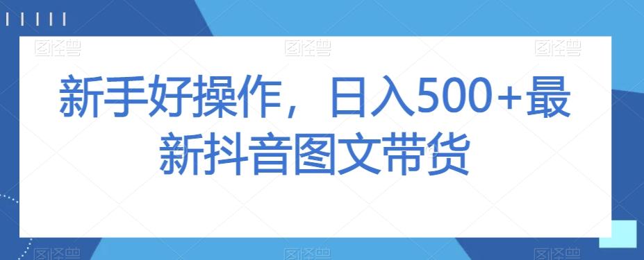 新手好操作，日入500+最新抖音图文带货【揭秘】-天韵资源网
