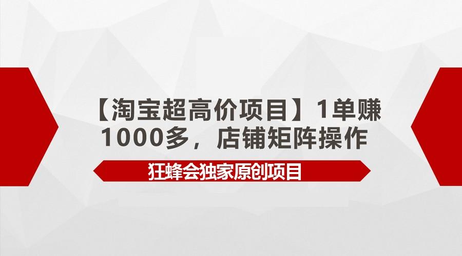 【淘宝超高价项目】1单赚1000多，店铺矩阵操作-天韵资源网