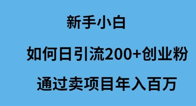 (9668期)新手小白如何日引流200+创业粉通过卖项目年入百万-天韵资源网