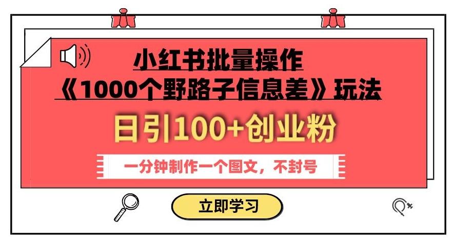 小红书批量操作《1000个野路子信息差》玩法，一分钟制作一个图文，不封号，日引100+创业粉-天韵资源网
