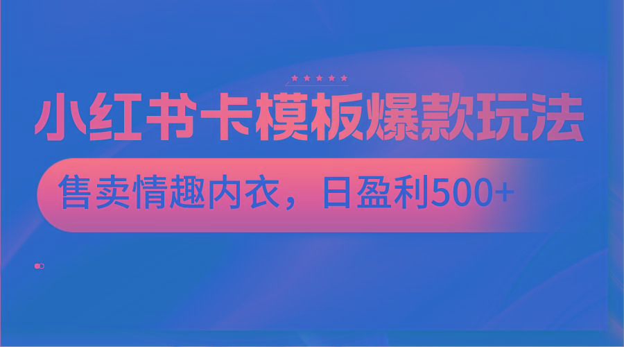 小红书卡模板爆款玩法，售卖情趣内衣，日盈利500+-天韵资源网
