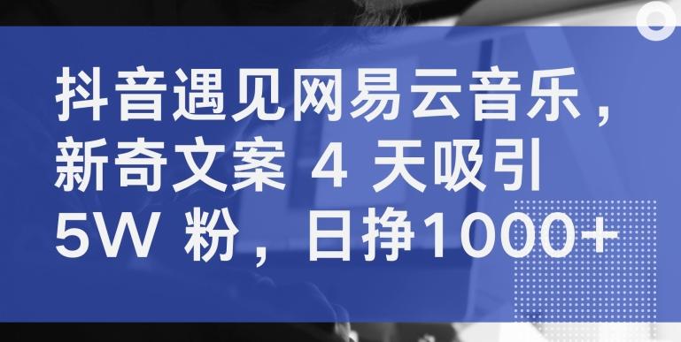 抖音遇见网易云音乐，新奇文案 4 天吸引 5W 粉，日挣1000+【揭秘】-天韵资源网