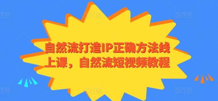 自然流打造IP正确方法线上课，自然流短视频教程-天韵资源网