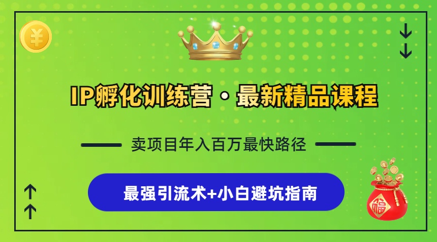 IP孵化训练营，知识付费全流程+最强引流术+小白避坑指南-天韵资源网