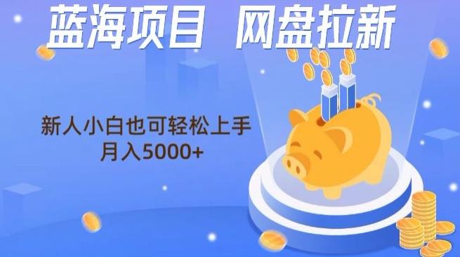 蓝海项目网盘拉新，新人小白也可操作，每月收入5000+-天韵资源网