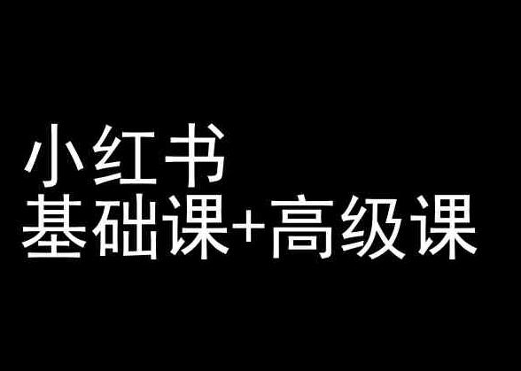 小红书基础课+高级课-小红书运营教程-天韵资源网