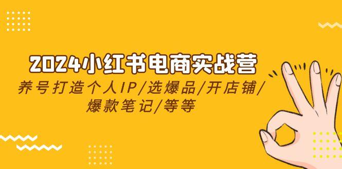 2024小红书电商实战营，养号打造IP/选爆品/开店铺/爆款笔记/等等(24节)-天韵资源网