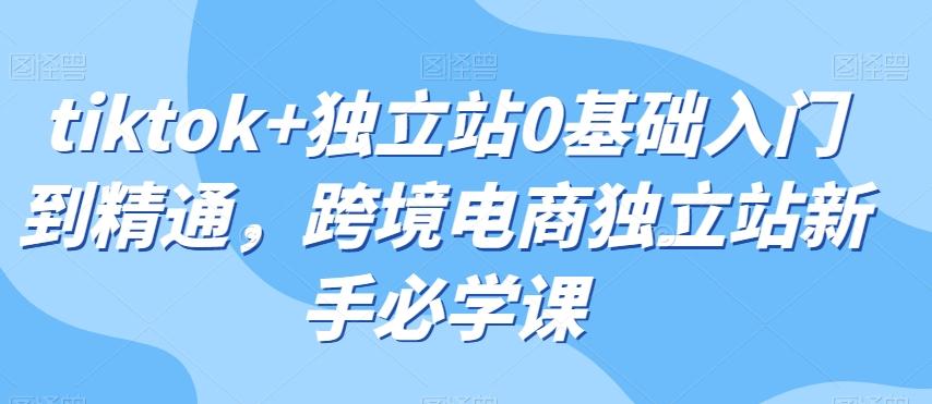 tiktok+独立站0基础入门到精通，跨境电商独立站新手必学课-天韵资源网