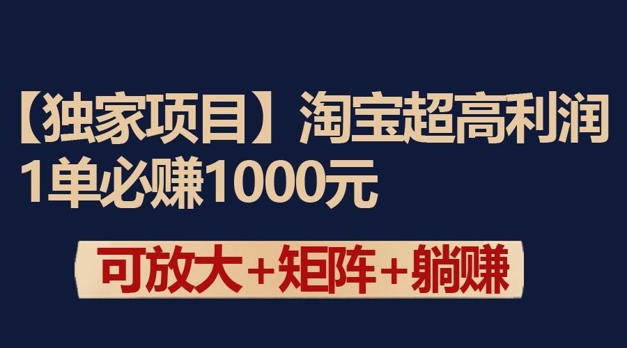 独家淘宝超高利润项目：1单必赚1000元，可放大可矩阵操作-天韵资源网