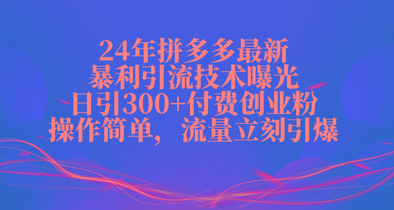 24年拼多多最新暴利引流技术曝光，日引300+付费创业粉，操作简单，流量…-天韵资源网