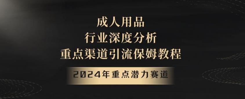 2024年重点潜力赛道，成人用品行业深度分析，重点渠道引流保姆教程【揭秘】-天韵资源网
