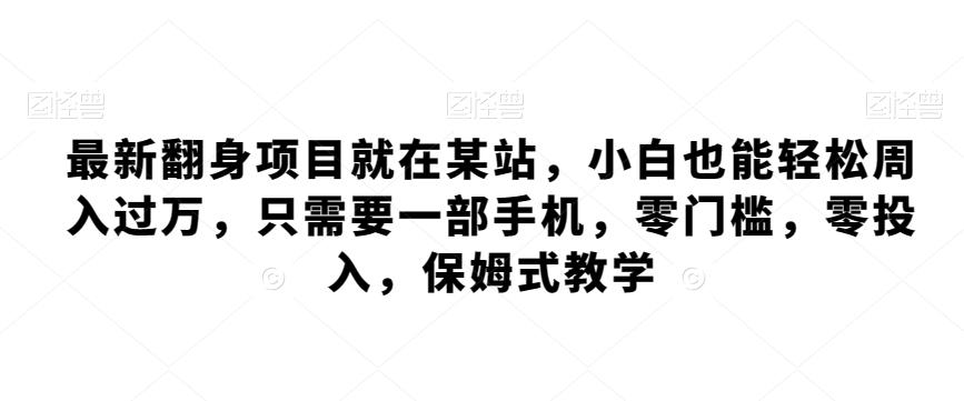 最新翻身项目就在某站，小白也能轻松周入过万，只需要一部手机，零门槛，零投入，保姆式教学-天韵资源网