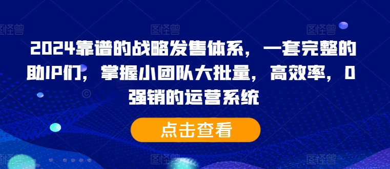 2024靠谱的战略发售体系，一套完整的助IP们，掌握小团队大批量，高效率，0 强销的运营系统-天韵资源网