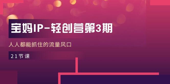 宝妈IP-轻创营第3期，人人都能抓住的流量风口(21节课-天韵资源网
