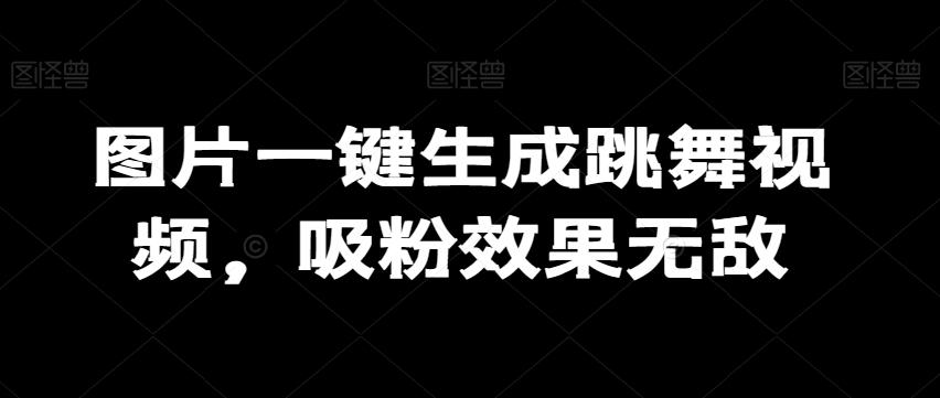图片一键生成跳舞视频，吸粉效果无敌-天韵资源网