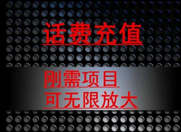 最新蓝海项目，刚需赛道，95折充话费月入5位数-天韵资源网