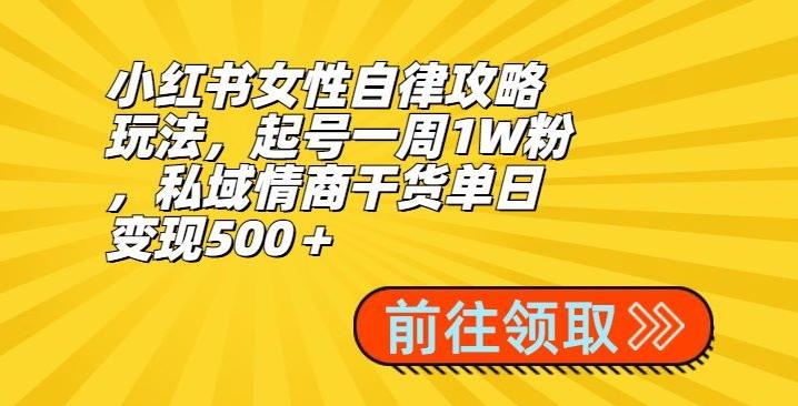 小红书女性自律攻略玩法，起号一周1W粉，私域情商干货单日变现500＋-天韵资源网