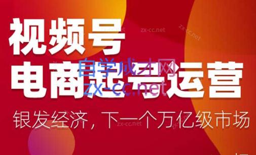 陈大黑牛·视频号电商起号运营课(更新到24年5月)-天韵资源网