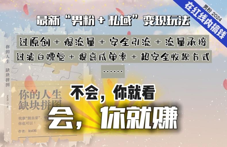 2024，“男粉+私域”还是最耐造、最赚、最轻松、最愉快的变现方式【揭秘】-天韵资源网