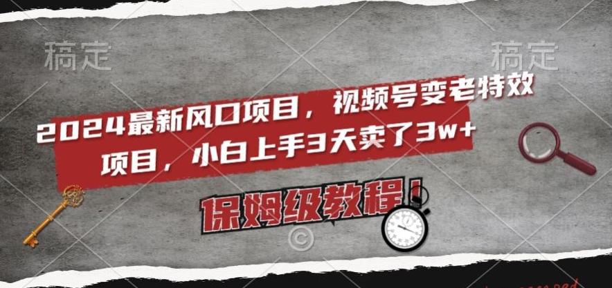 2024最新风口项目，视频号变老特效项目，电脑小白上手3天卖了3w+，保姆级教程【揭秘】-天韵资源网