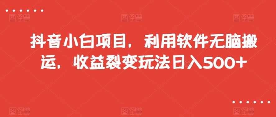 抖音小白项目，利用软件无脑搬运，收益裂变玩法日入500+【揭秘】-天韵资源网