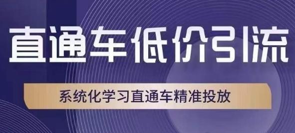 直通车低价引流课，系统化学习直通车精准投放-天韵资源网