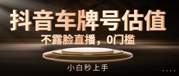 抖音车牌号估值，不露脸直播，0门槛，小白秒上手【揭秘】-天韵资源网