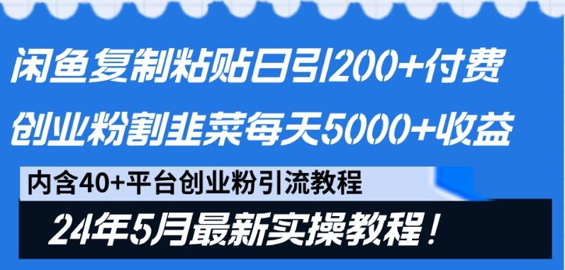 闲鱼复制粘贴日引200+付费创业粉，24年5月最新方法！割韭菜日稳定5000+收益-天韵资源网