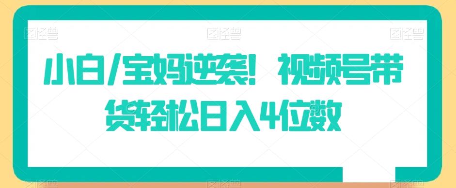 小白/宝妈逆袭！视频号带货轻松日入4位数【揭秘】-天韵资源网