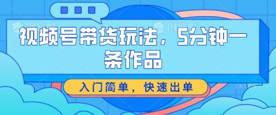 视频号带货玩法，5分钟一条作品，入门简单，快速出单【揭秘】-天韵资源网