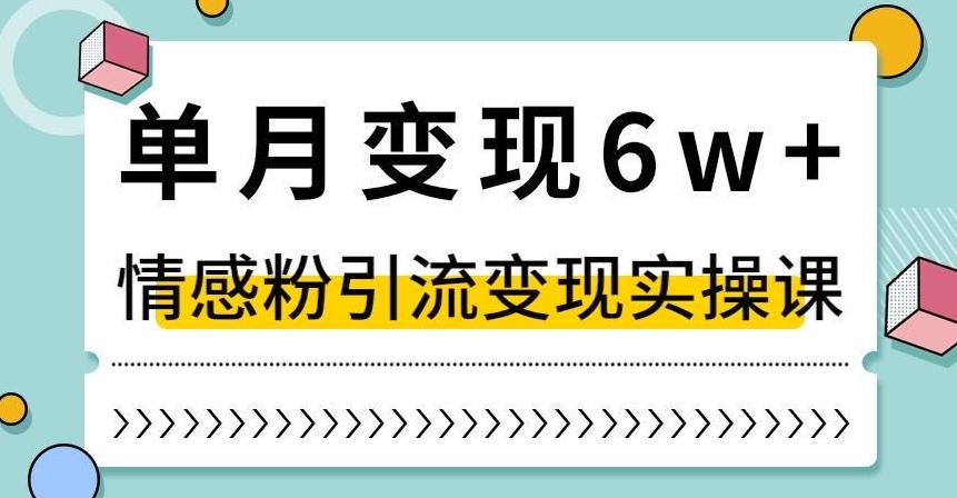 单月变现6W+，抖音情感粉引流变现实操课，小白可做，轻松上手，独家赛道【揭秘】-天韵资源网