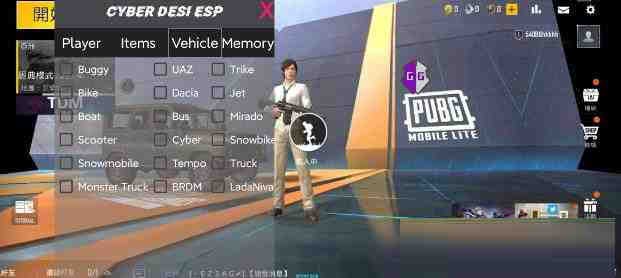 PUBG轻量老外裸奔绘制+自瞄 支持ROOT和框架 里面有全局离线-天韵资源网