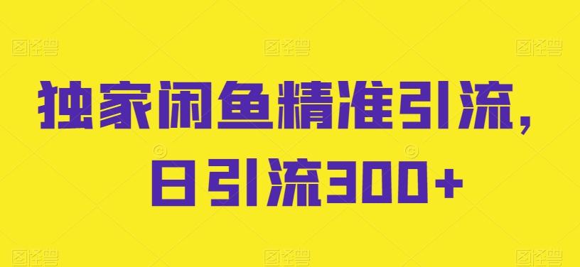 独家闲鱼精准引流，日引流300+【揭秘】-天韵资源网