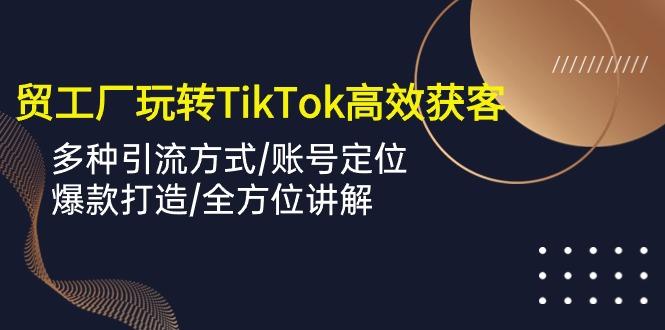 外贸工厂玩转TikTok高效获客，多种引流方式/账号定位/爆款打造/全方位讲解-天韵资源网