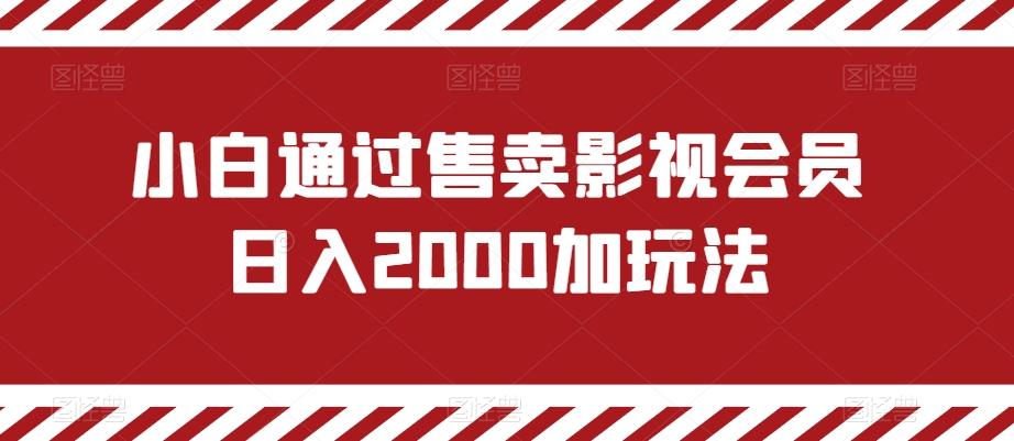 小白通过售卖影视会员日入2000加玩法-天韵资源网