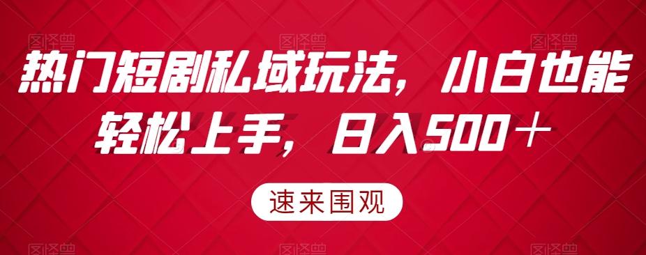 热门短剧私域玩法，小白也能轻松上手，日入500＋-天韵资源网