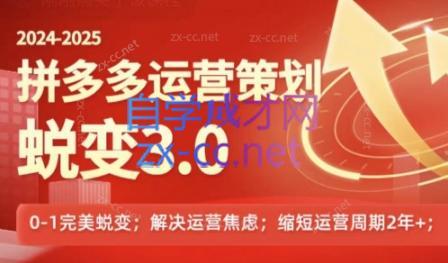大力老师·2024拼多多运营策略蜕变3.0-天韵资源网