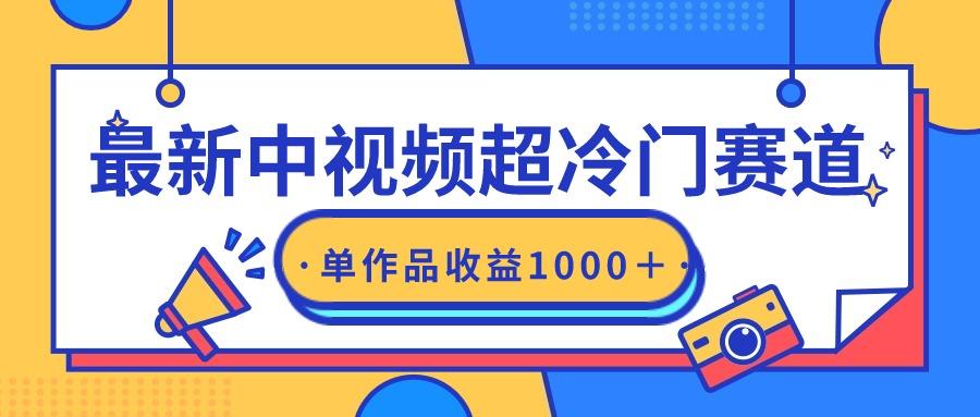 (9275期)最新中视频超冷门赛道，轻松过原创，单条视频收益1000＋-天韵资源网
